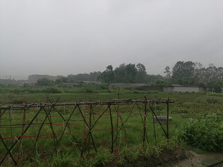 首页-PA真人集团有限公司官网