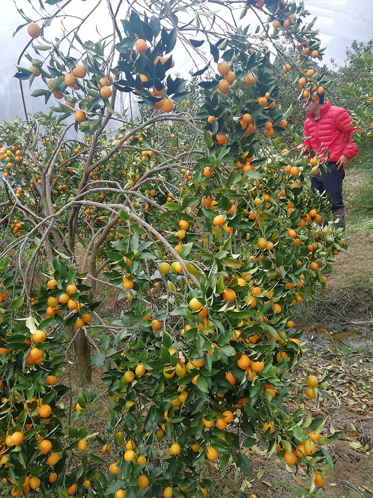 首页-PA真人集团有限公司官网