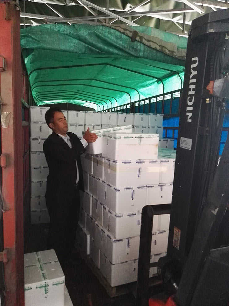 首页-PA真人集团有限公司官网