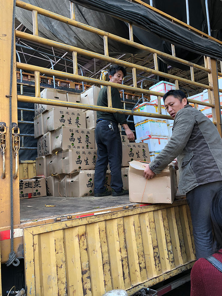 首页-PA真人集团有限公司官网