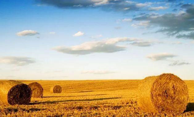 首页-PA真人集团有限公司官网