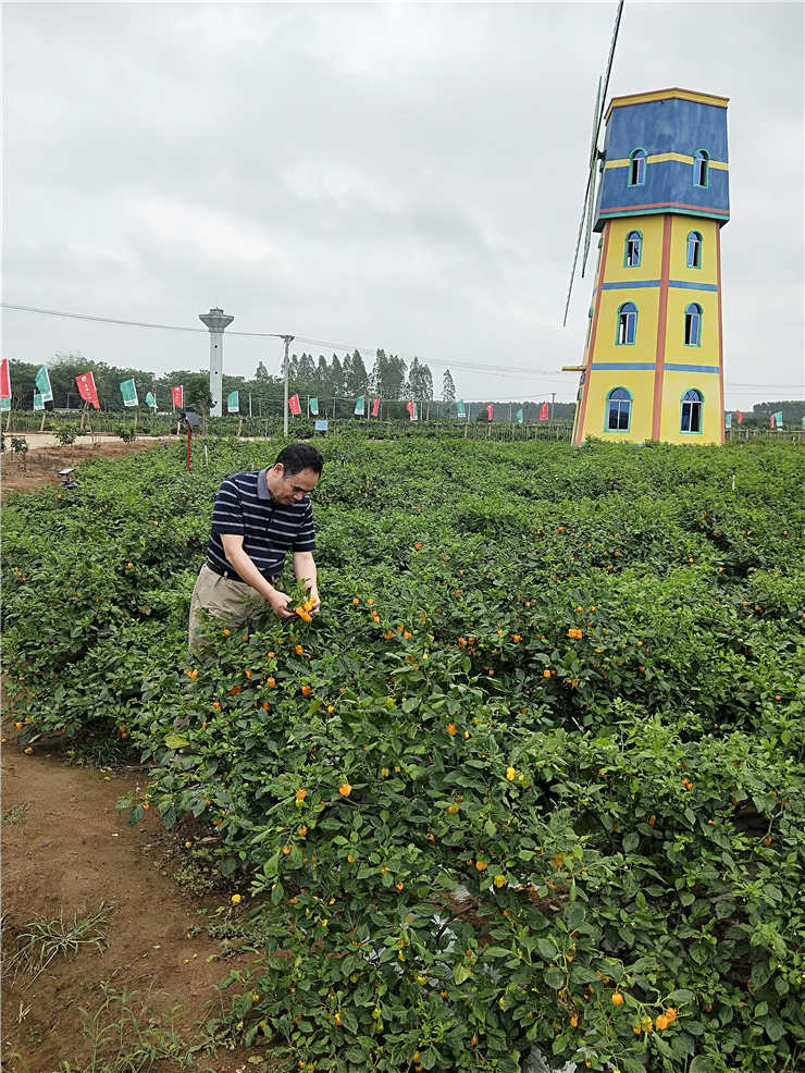 首页-PA真人集团有限公司官网