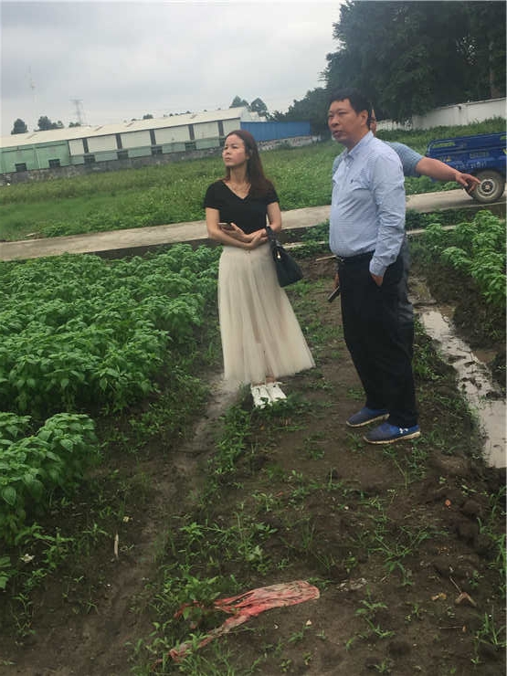 首页-PA真人集团有限公司官网