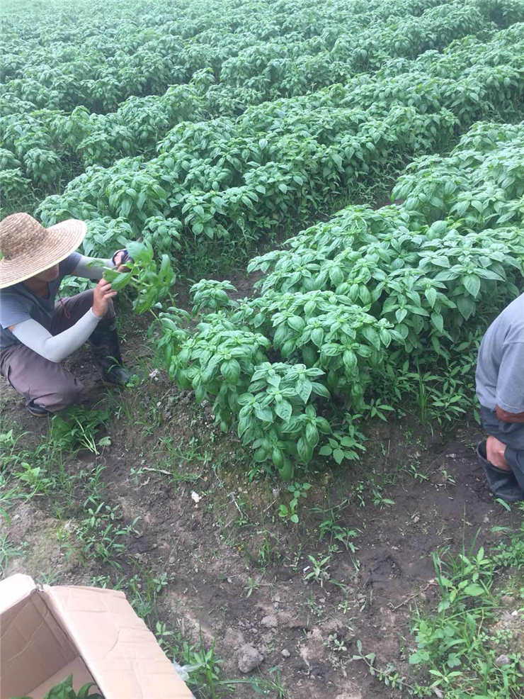 首页-PA真人集团有限公司官网
