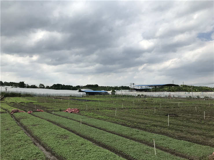 首页-PA真人集团有限公司官网