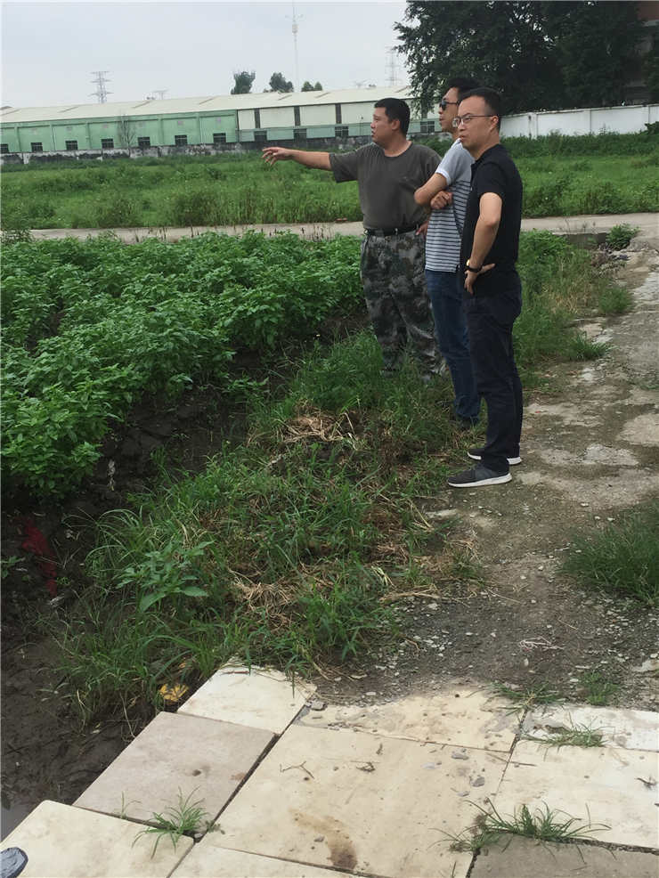 首页-PA真人集团有限公司官网