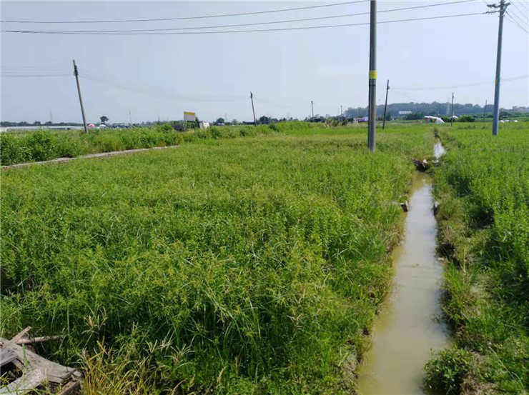 首页-PA真人集团有限公司官网
