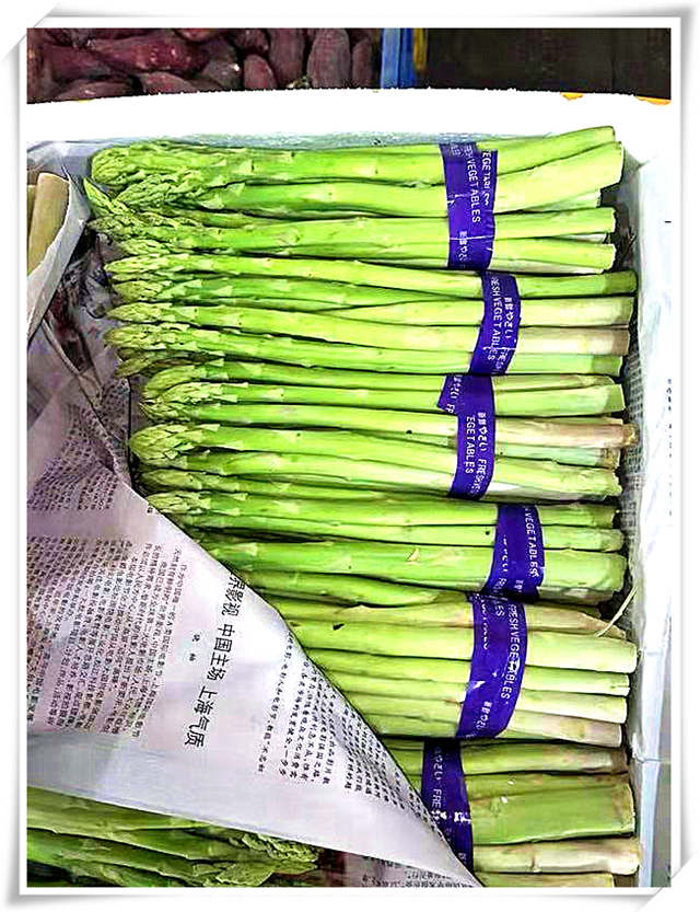 首页-PA真人集团有限公司官网