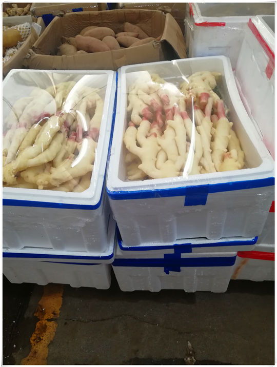 首页-PA真人集团有限公司官网