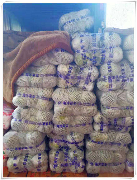 首页-PA真人集团有限公司官网