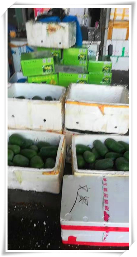 首页-PA真人集团有限公司官网