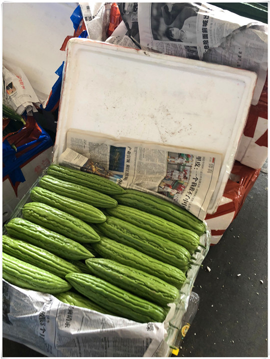 首页-PA真人集团有限公司官网