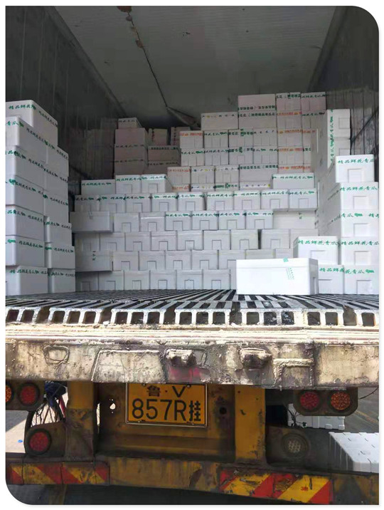 首页-PA真人集团有限公司官网