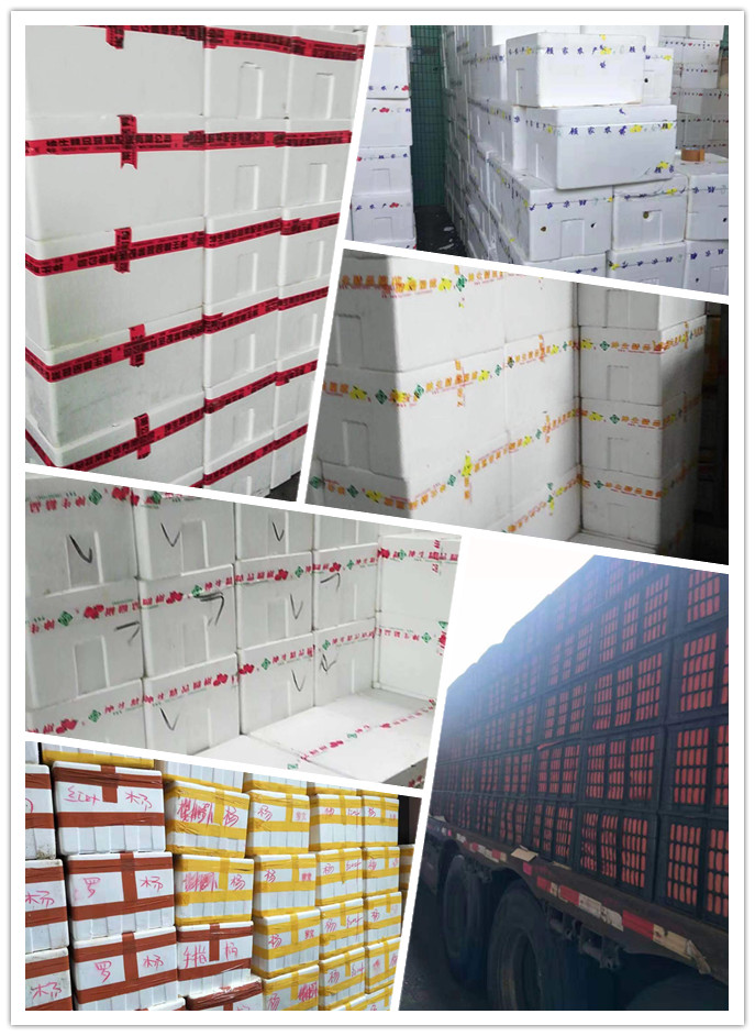 首页-PA真人集团有限公司官网