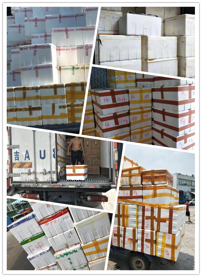 首页-PA真人集团有限公司官网