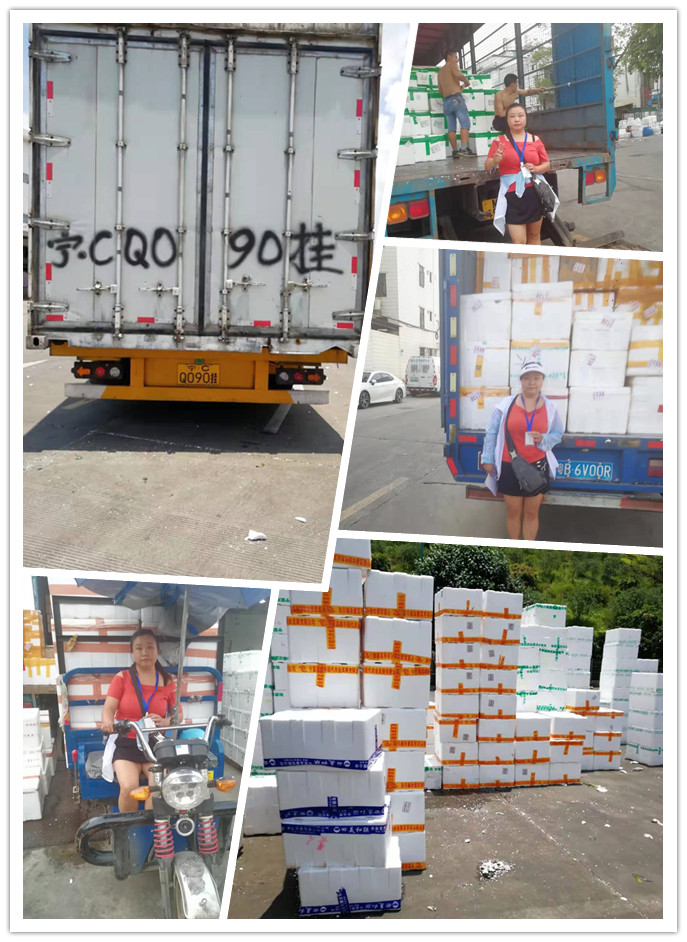 首页-PA真人集团有限公司官网