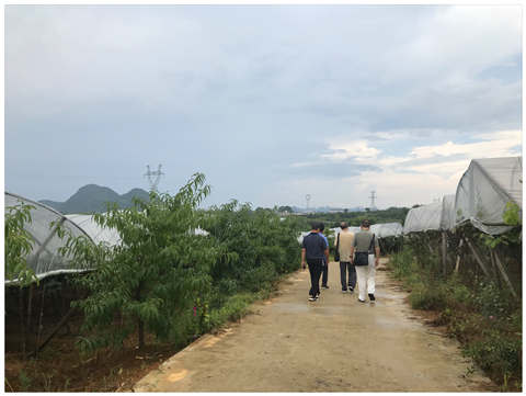 首页-PA真人集团有限公司官网