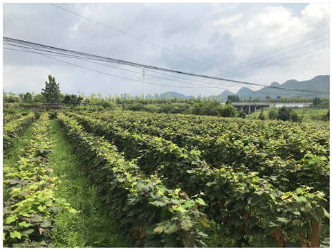 首页-PA真人集团有限公司官网