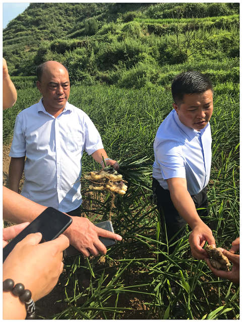 首页-PA真人集团有限公司官网