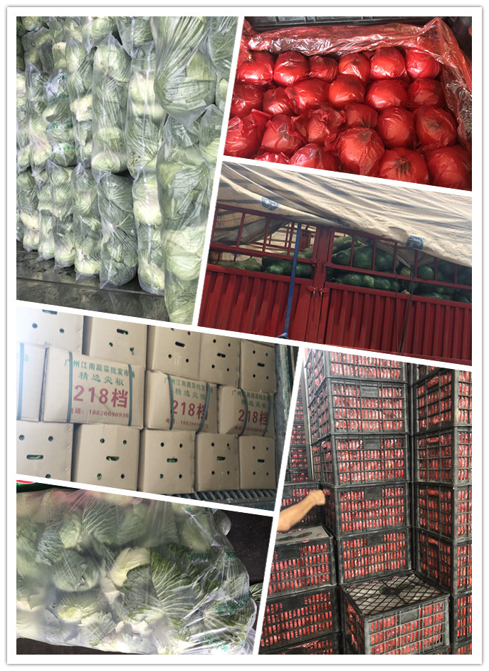 首页-PA真人集团有限公司官网