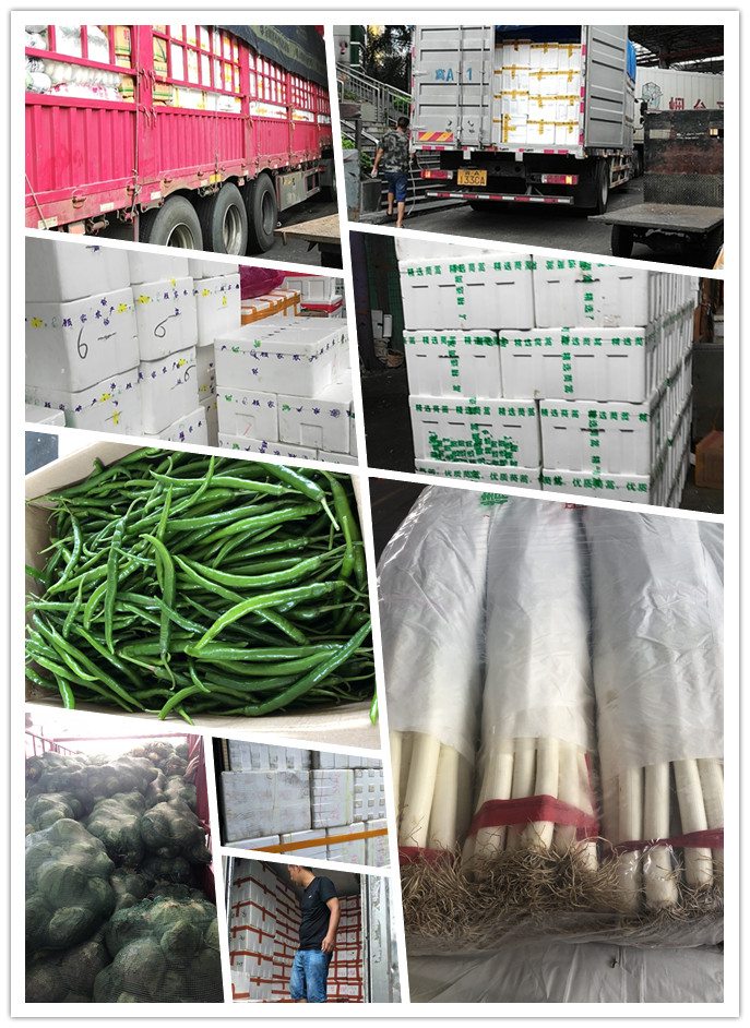 首页-PA真人集团有限公司官网