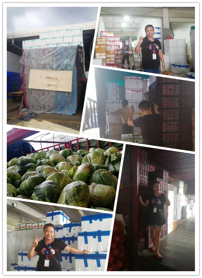 首页-PA真人集团有限公司官网