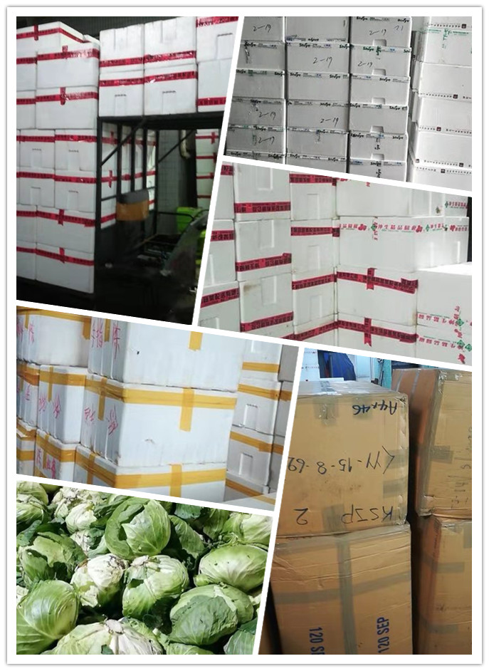 首页-PA真人集团有限公司官网