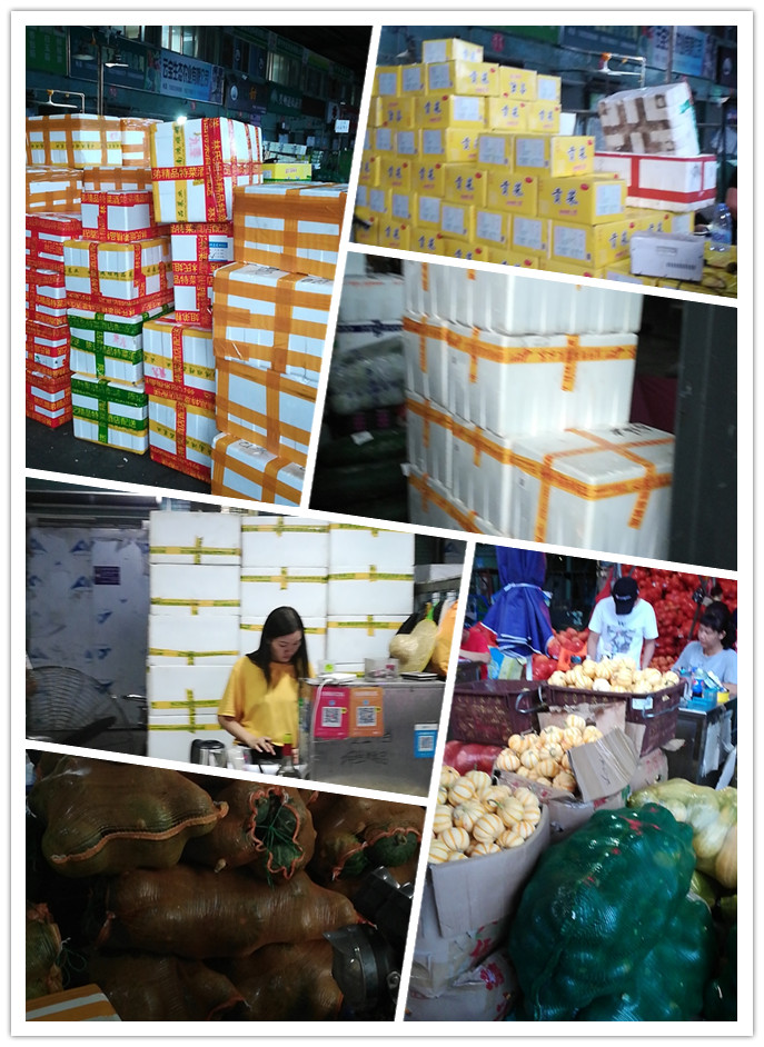 首页-PA真人集团有限公司官网