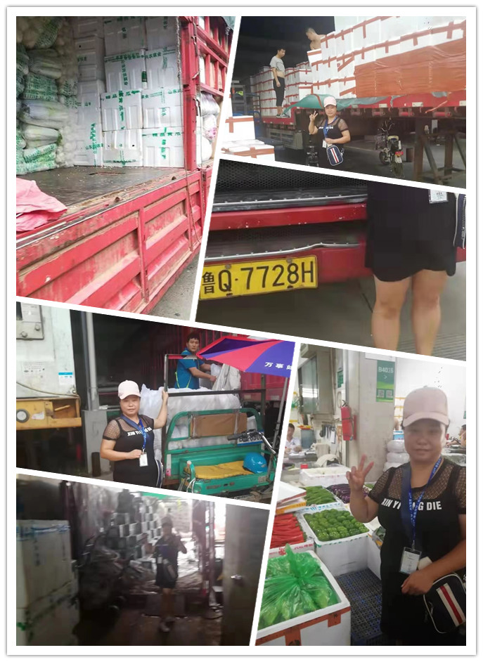 首页-PA真人集团有限公司官网