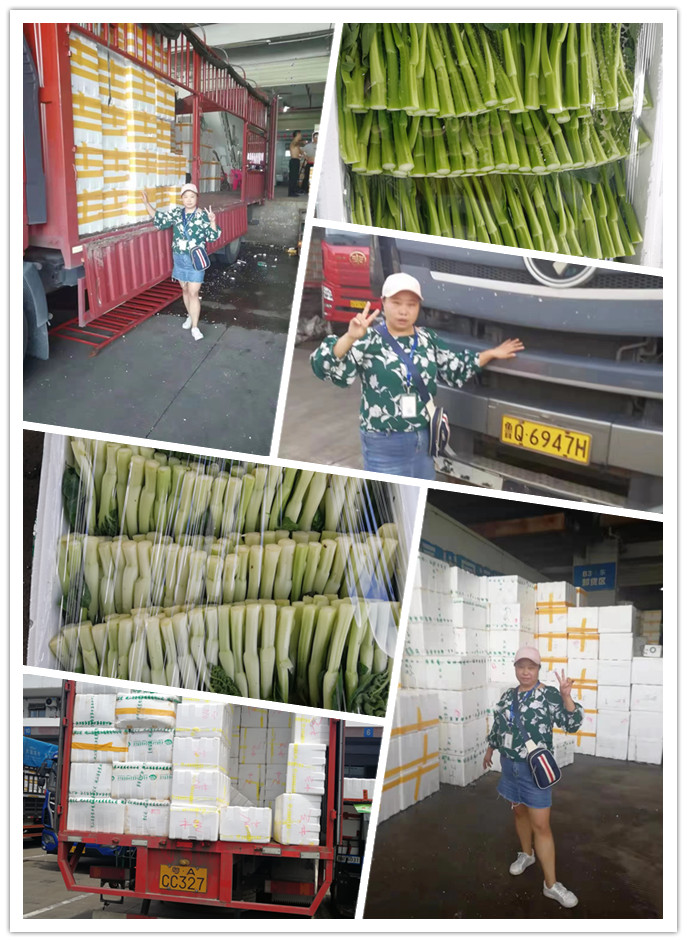 首页-PA真人集团有限公司官网