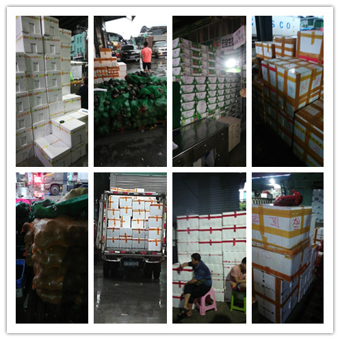 首页-PA真人集团有限公司官网