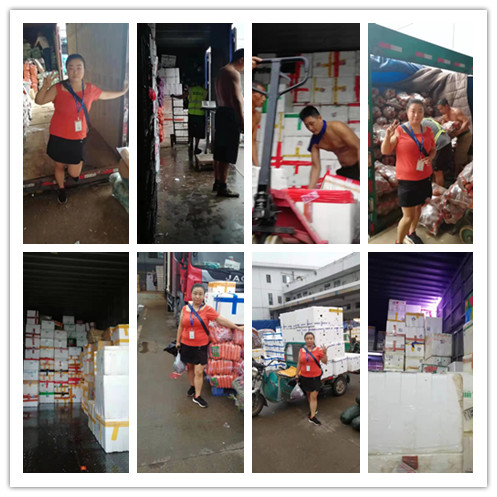 首页-PA真人集团有限公司官网