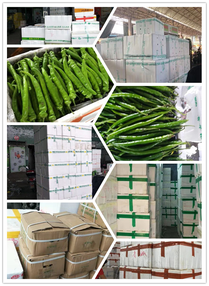 首页-PA真人集团有限公司官网