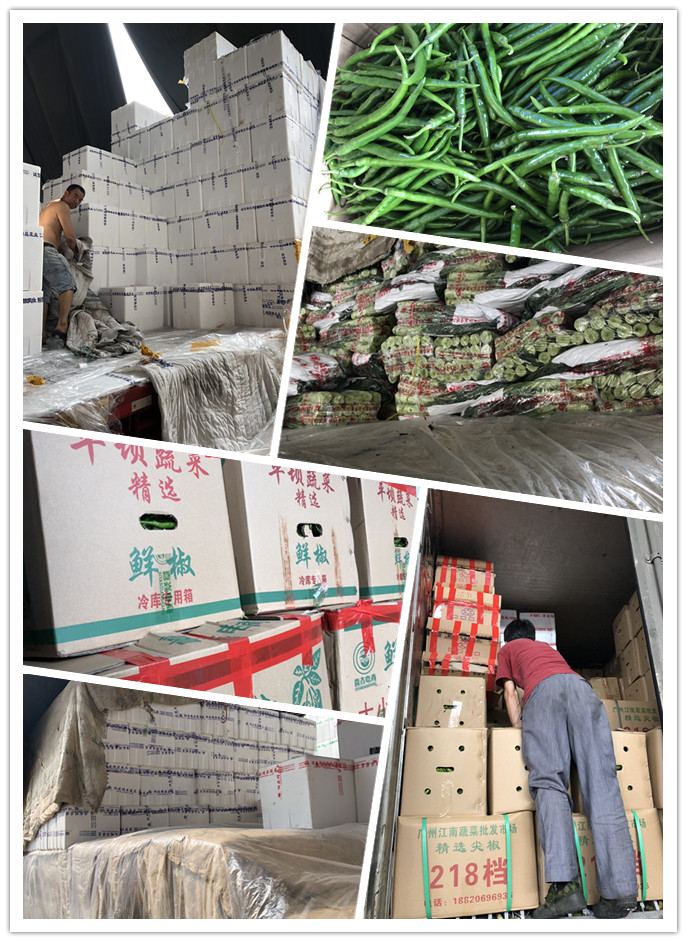 首页-PA真人集团有限公司官网