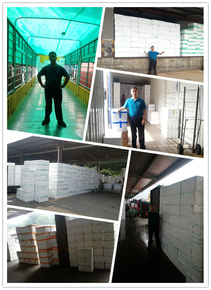 首页-PA真人集团有限公司官网