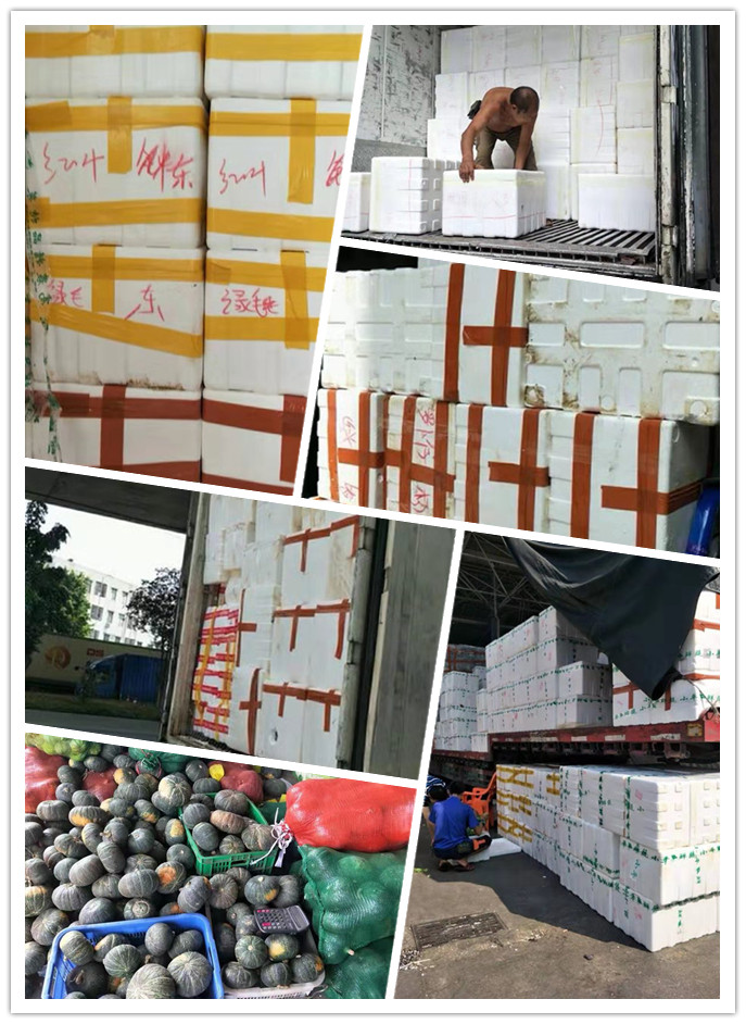 首页-PA真人集团有限公司官网