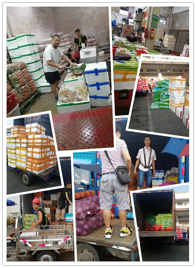 首页-PA真人集团有限公司官网