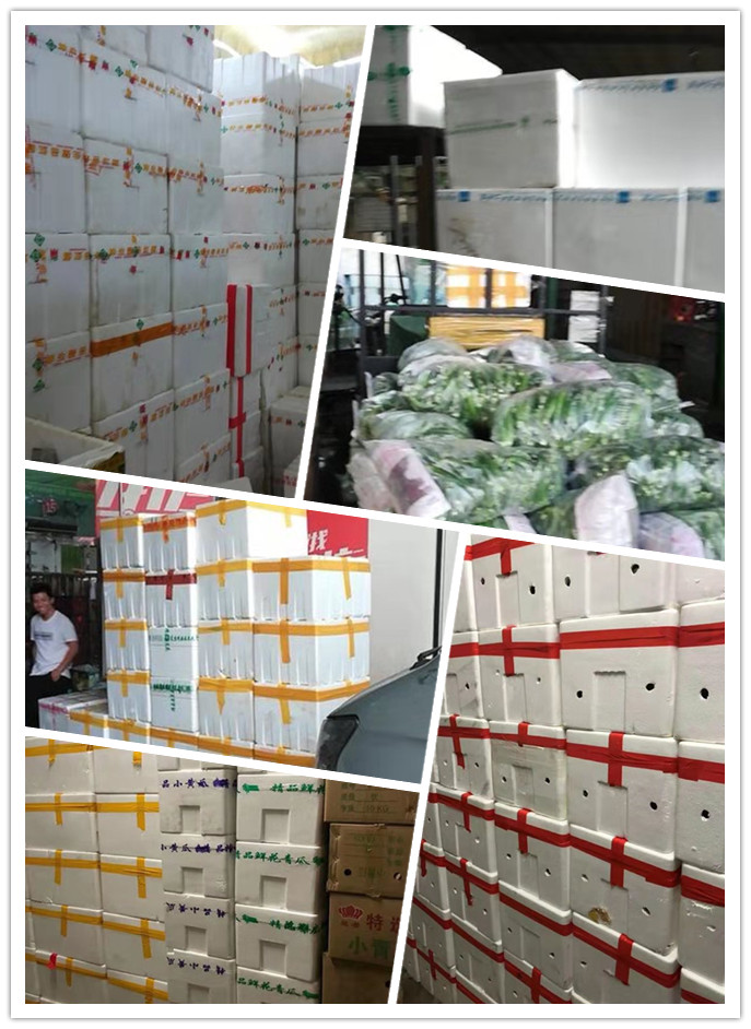 首页-PA真人集团有限公司官网