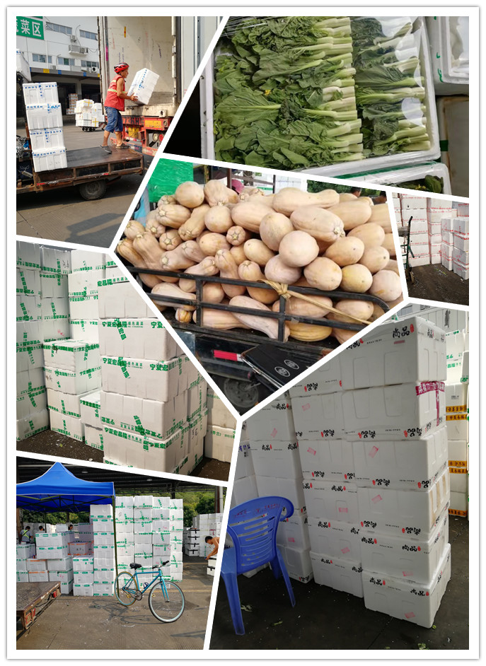 首页-PA真人集团有限公司官网