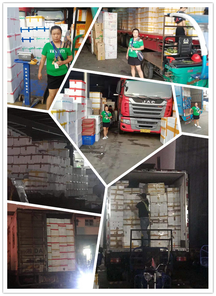 首页-PA真人集团有限公司官网