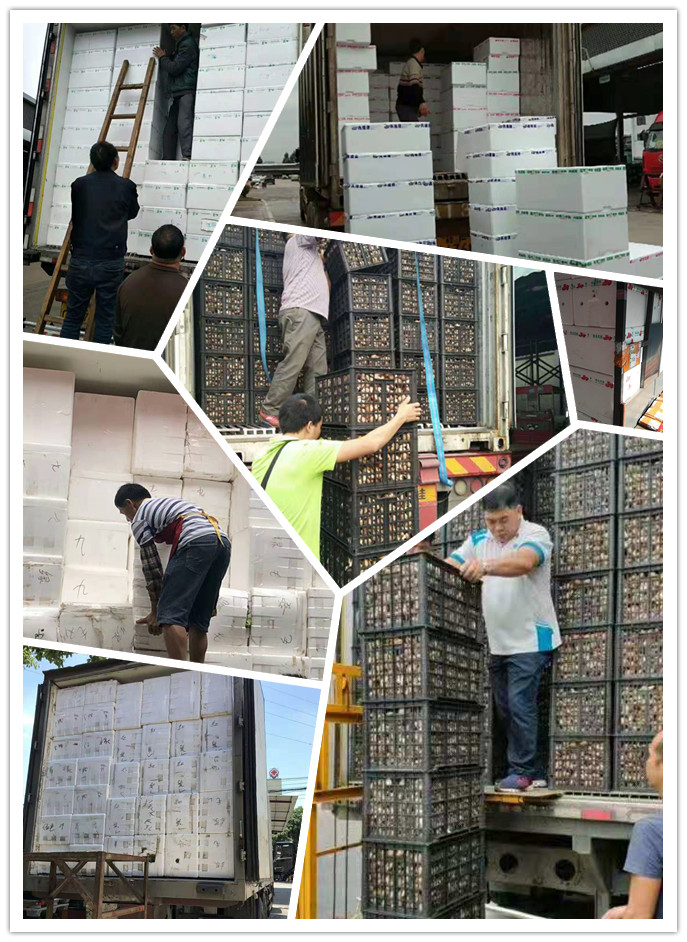 首页-PA真人集团有限公司官网