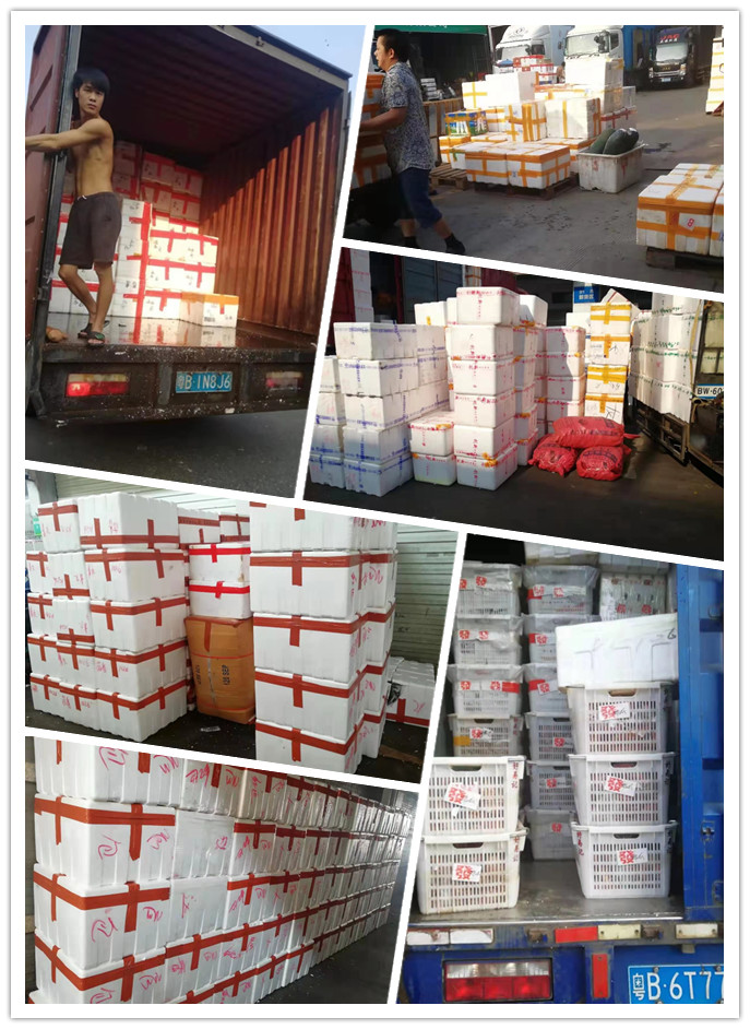 首页-PA真人集团有限公司官网