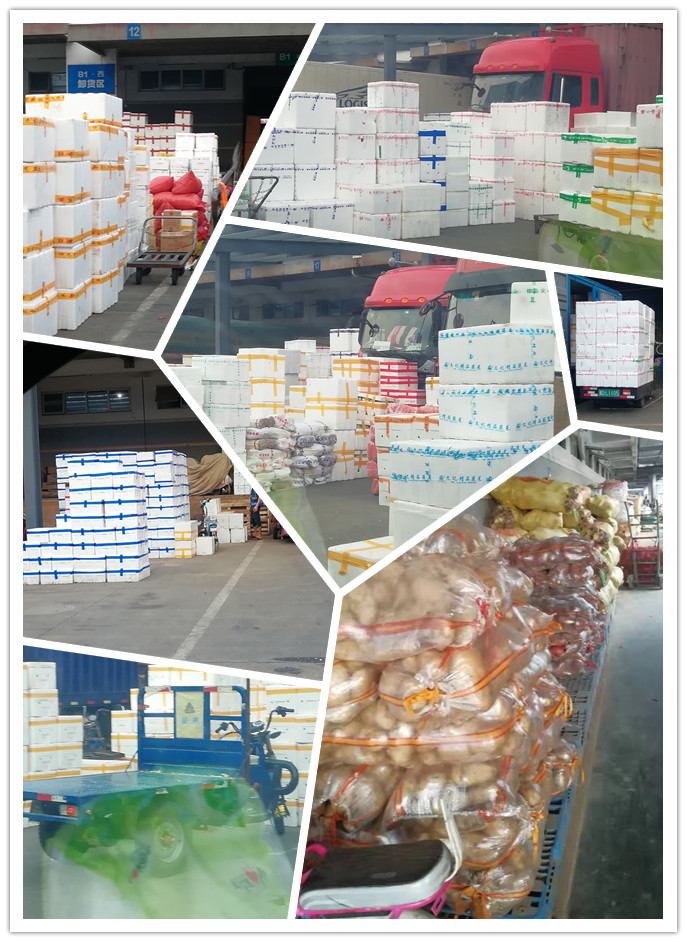 首页-PA真人集团有限公司官网