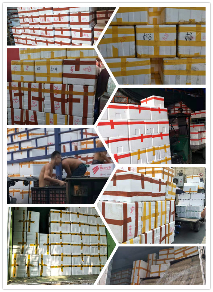 首页-PA真人集团有限公司官网