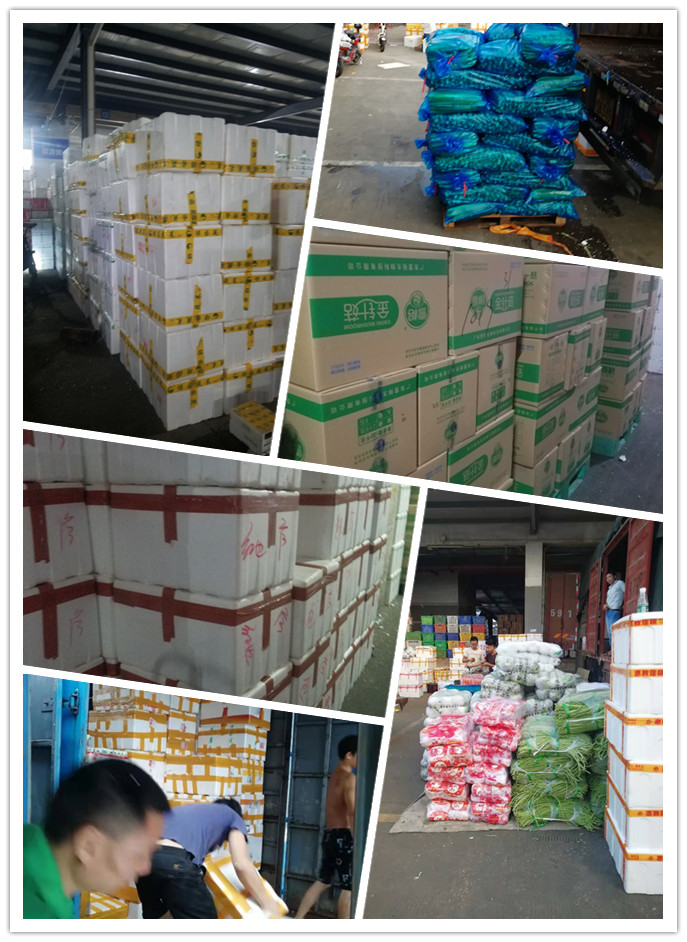 首页-PA真人集团有限公司官网