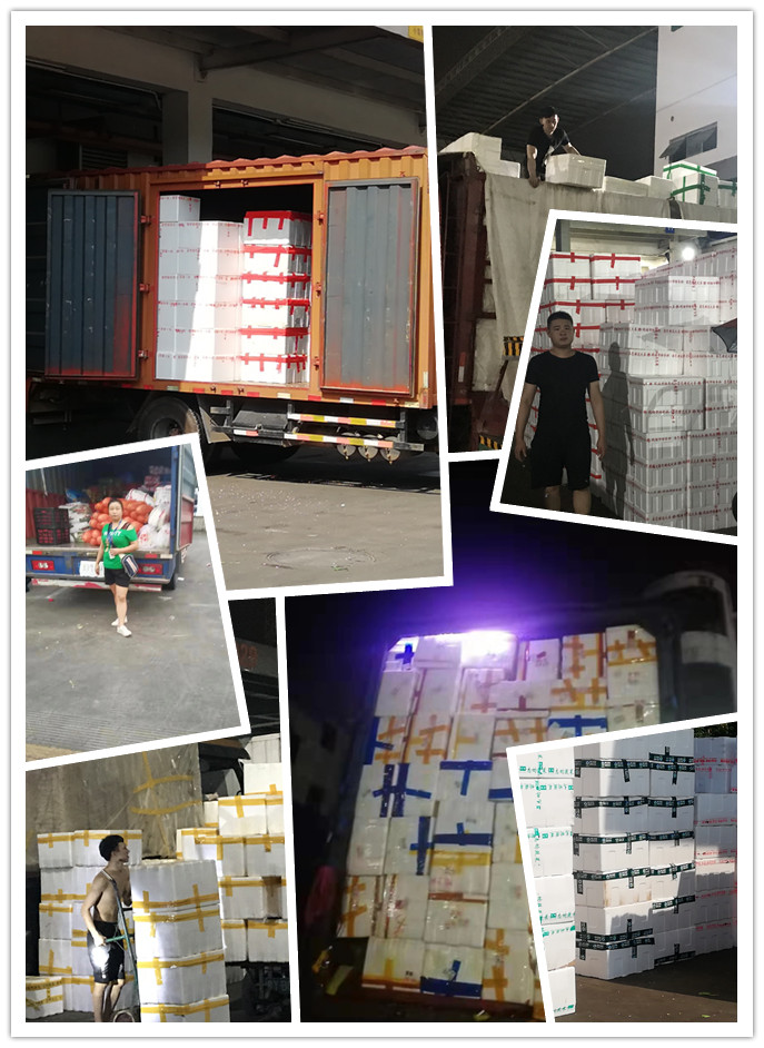 首页-PA真人集团有限公司官网