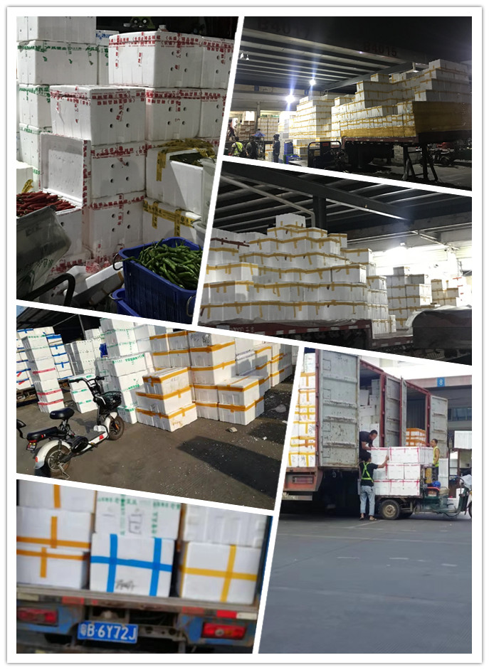 首页-PA真人集团有限公司官网