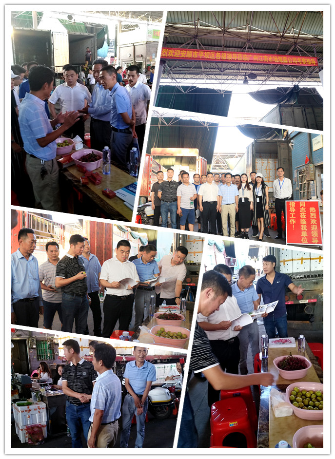 首页-PA真人集团有限公司官网