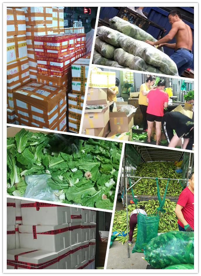 首页-PA真人集团有限公司官网