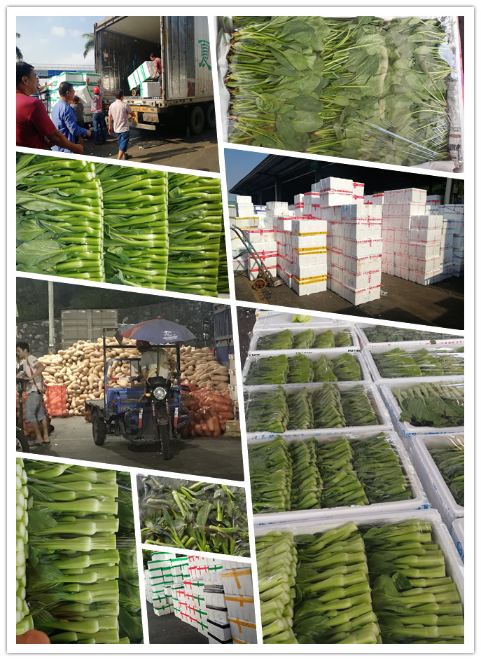 首页-PA真人集团有限公司官网